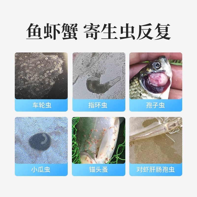 全驱净桉树精油鱼虾蟹敌百虫水产养殖车轮指环净小瓜虫锚头鳋