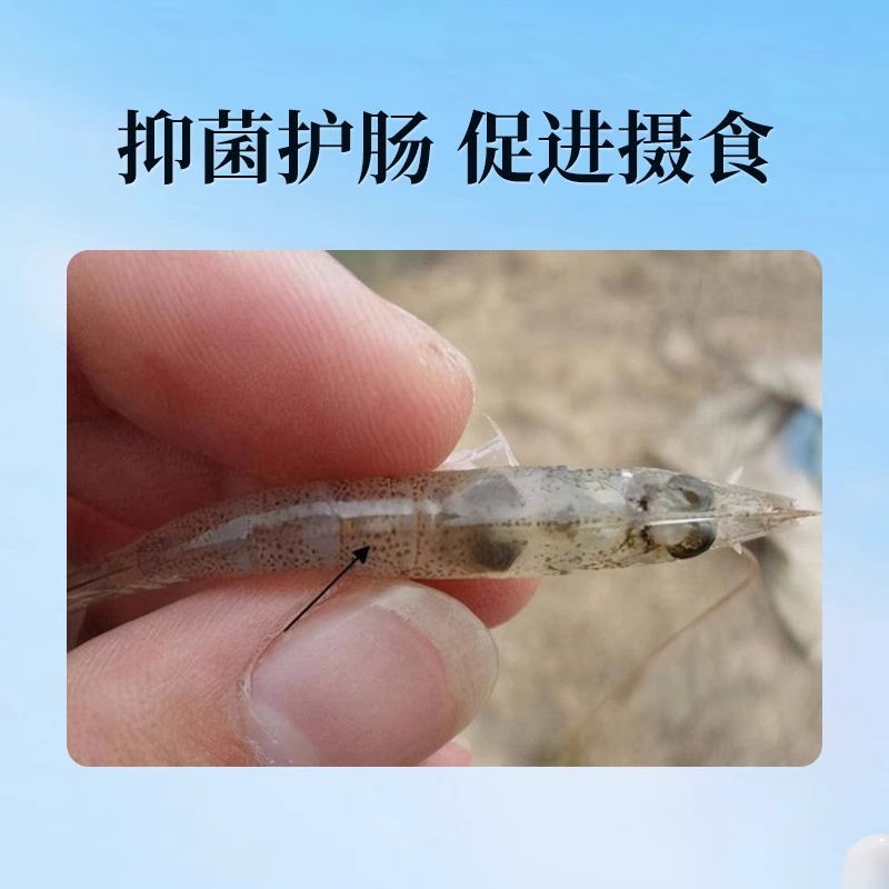 全驱净桉树精油鱼虾蟹敌百虫水产养殖车轮指环净小瓜虫锚头鳋