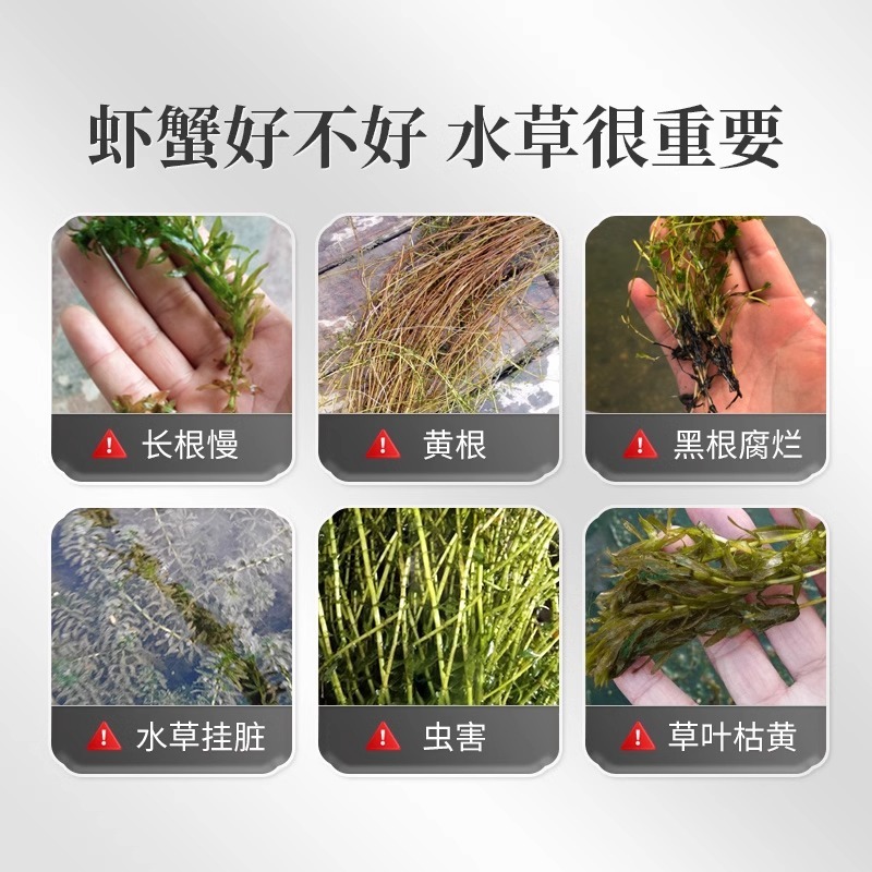 水产养殖鱼虾蟹鱼塘水草壮根旺肥水草根发芽高温保草根肥水产