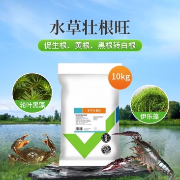 水产养殖鱼虾蟹鱼塘水草壮根旺肥水草根发芽高温保草根肥水产