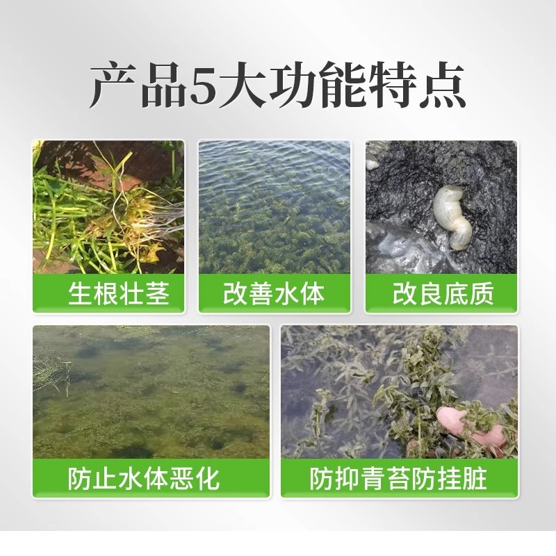 水产养殖鱼虾蟹鱼塘水草壮根旺肥水草根发芽高温保草根肥水产