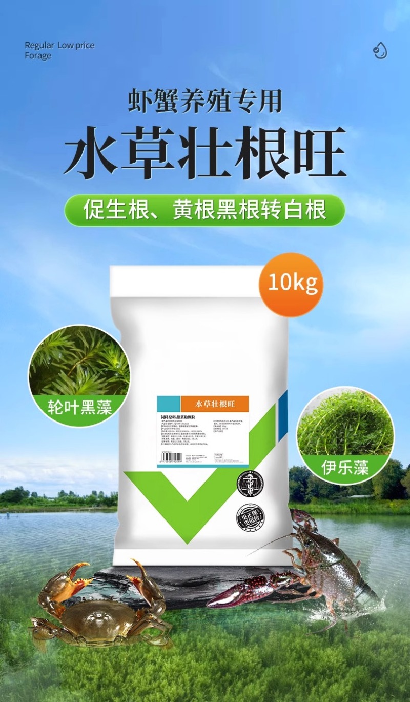 水产养殖鱼虾蟹鱼塘水草壮根旺肥水草根发芽高温保草根肥水产