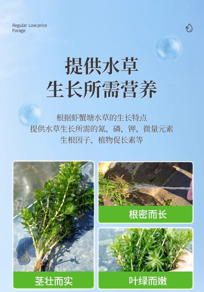 水产养殖鱼虾蟹鱼塘水草壮根旺肥水草根发芽高温保草根肥水产