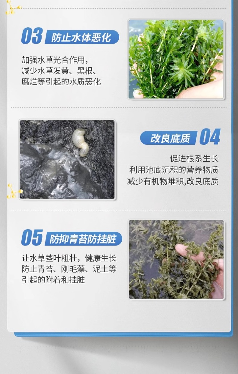 水产养殖鱼虾蟹鱼塘水草壮根旺肥水草根发芽高温保草根肥水产