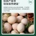 生物脱霉剂猪牛羊鸡鸭双效脱霉先锋饲料添加剂玉米脱霉净