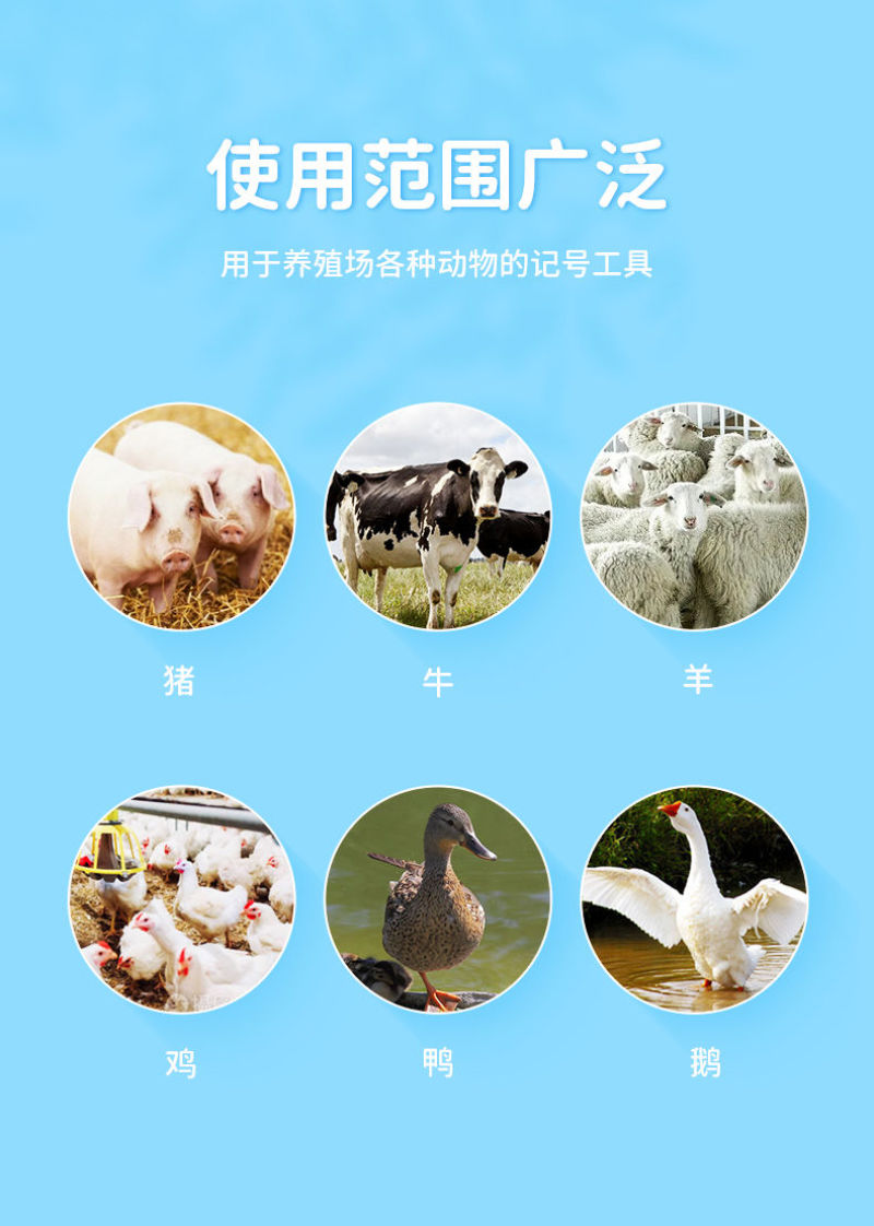 多色记号笔猪用记号蜡笔猪场设备养猪器械养殖