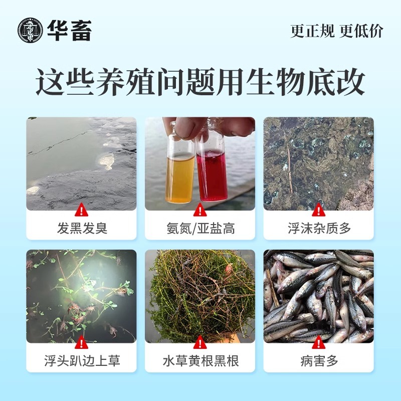 生物底改双效改底王鱼虾蟹塘解毒增氧净水宝片调水水产养殖