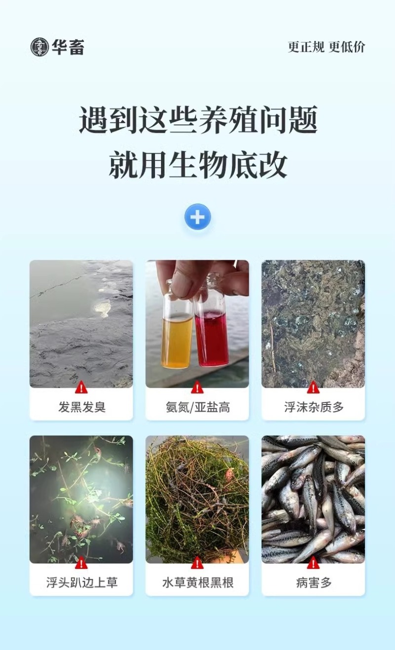 生物底改双效改底王鱼虾蟹塘解毒增氧净水宝片调水水产养殖