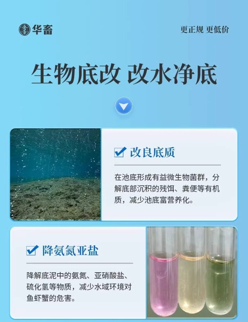 生物底改双效改底王鱼虾蟹塘解毒增氧净水宝片调水水产养殖