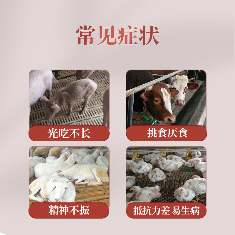 山楂开胃王开胃宝大开胃猪牛羊鸡禽用健胃催肥饲料添加剂