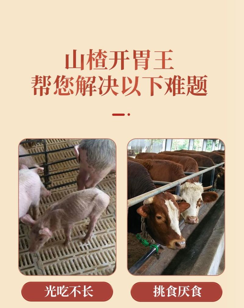 山楂开胃王开胃宝大开胃猪牛羊鸡禽用健胃催肥饲料添加剂