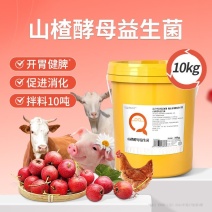 山楂酵母益生菌开胃益生菌瘤胃宝猪牛羊反刍动物开胃健胃