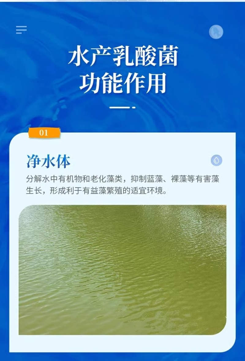 水产养殖乳酸菌粉益生菌肥水培藻乳酸菌鱼缸菌种鱼虾蟹诱食菌