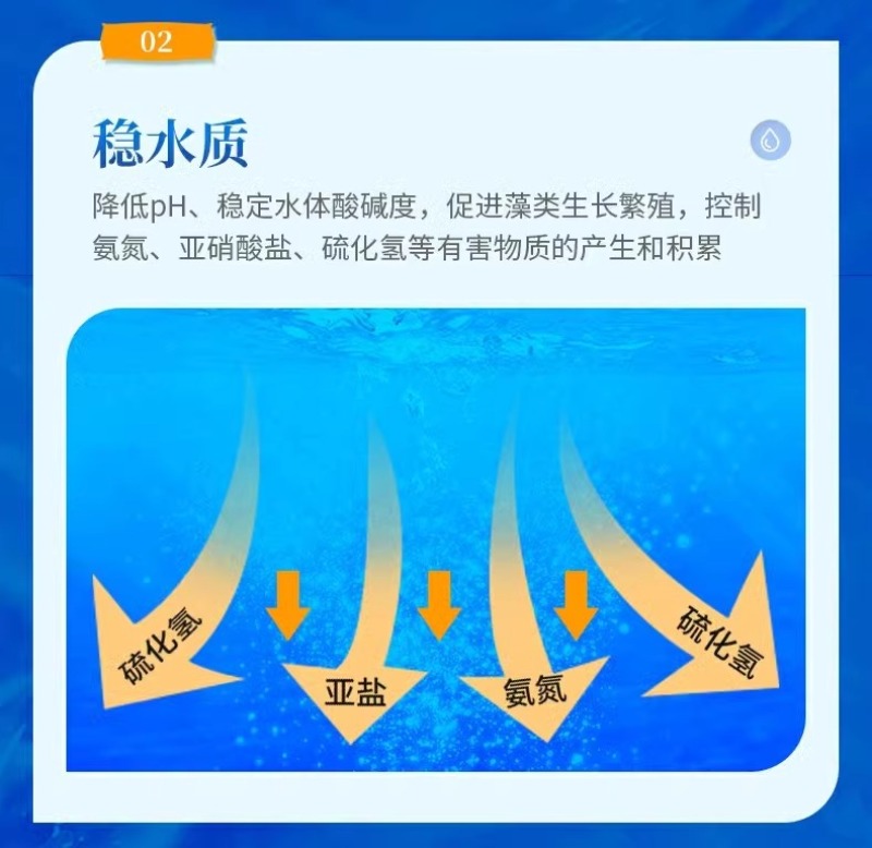 水产养殖乳酸菌粉益生菌肥水培藻乳酸菌鱼缸菌种鱼虾蟹诱食菌
