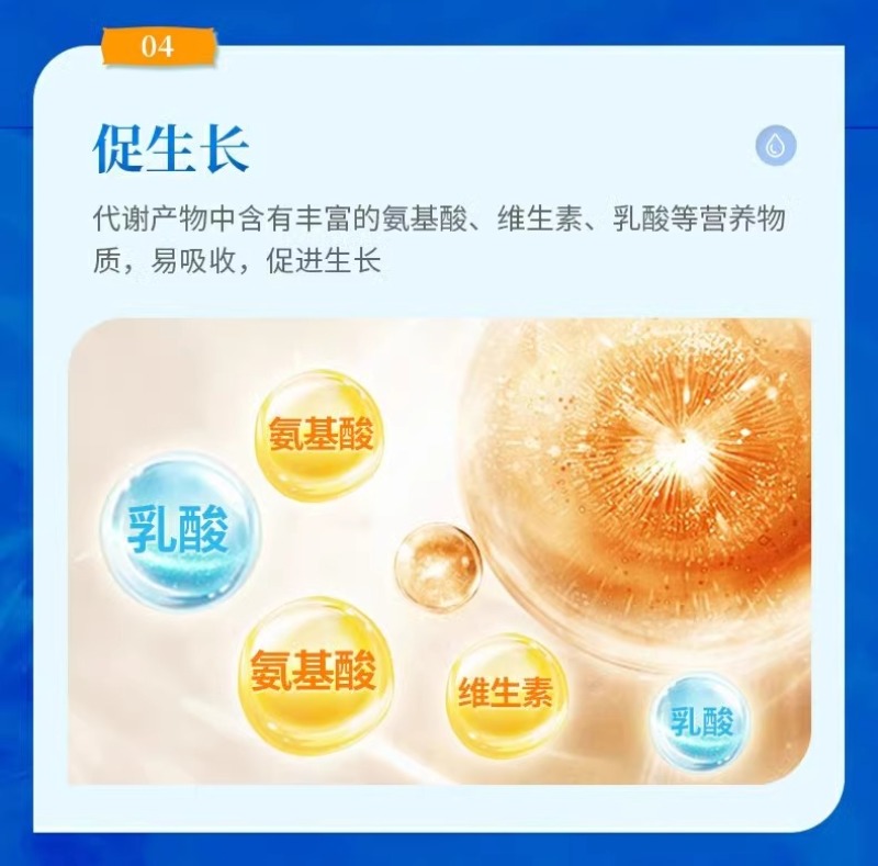 水产养殖乳酸菌粉益生菌肥水培藻乳酸菌鱼缸菌种鱼虾蟹诱食菌