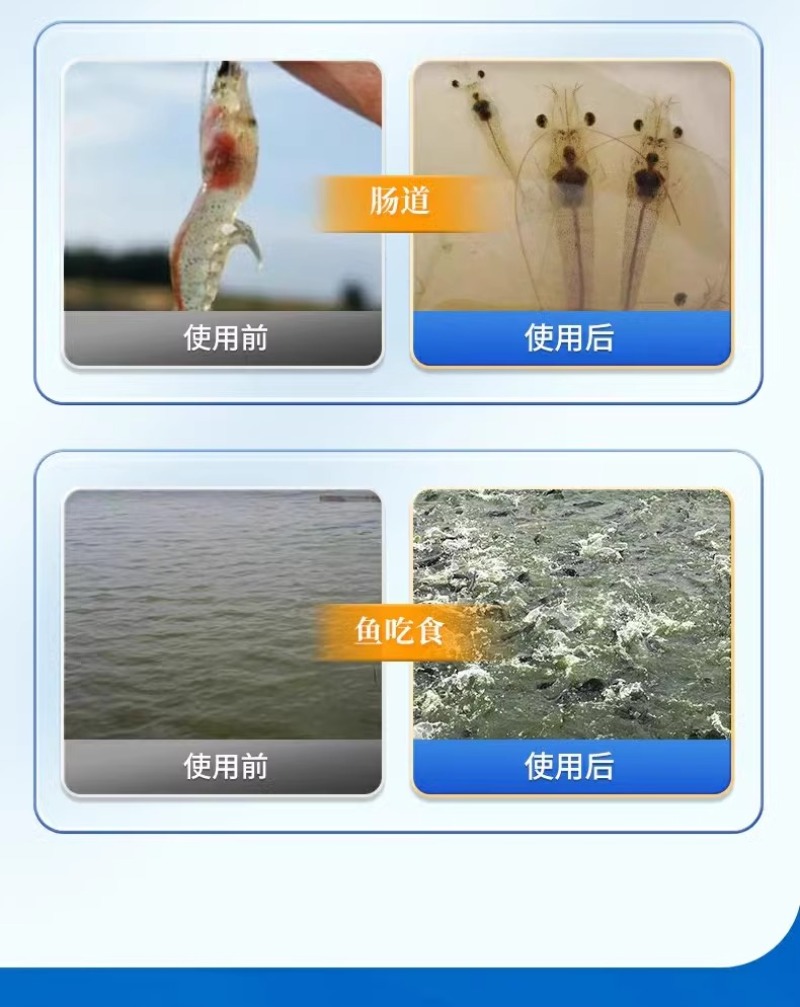 水产养殖乳酸菌粉益生菌肥水培藻乳酸菌鱼缸菌种鱼虾蟹诱食菌