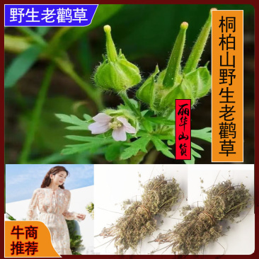老鹳草新货桐柏山野生晒干中药材批发老关草老鹳嘴质量保证