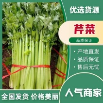 五指芹，小颗芹菜香芹，玻璃翠，无丝，杆亮，实心菜