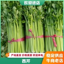 精品禹城西芹，精品好西芹，基地保质保量发货，欢迎咨询