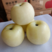 【奶油富士苹果】奶油苹果产地直发坏果包赔一件代发包邮