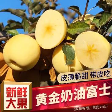 【包邮】苹果烟台奶油富士苹果产地直发85以上大果