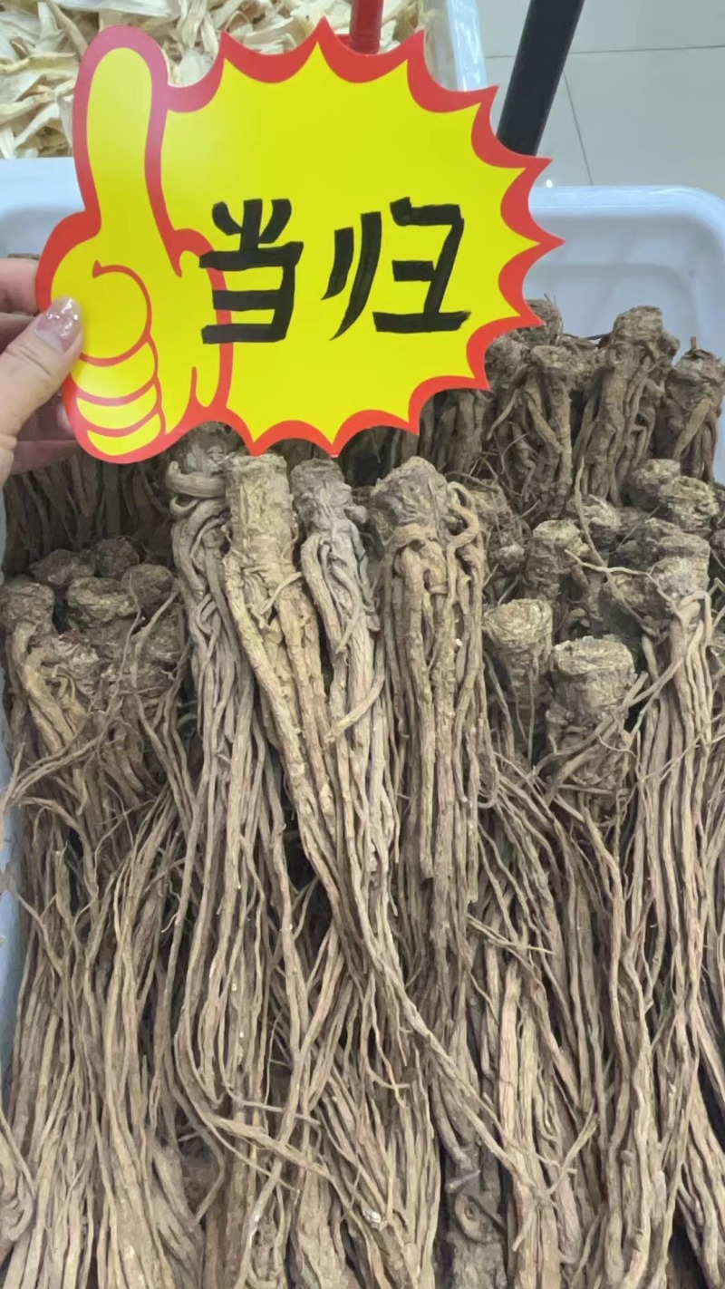 当归个子