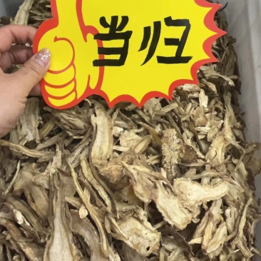 当归片子