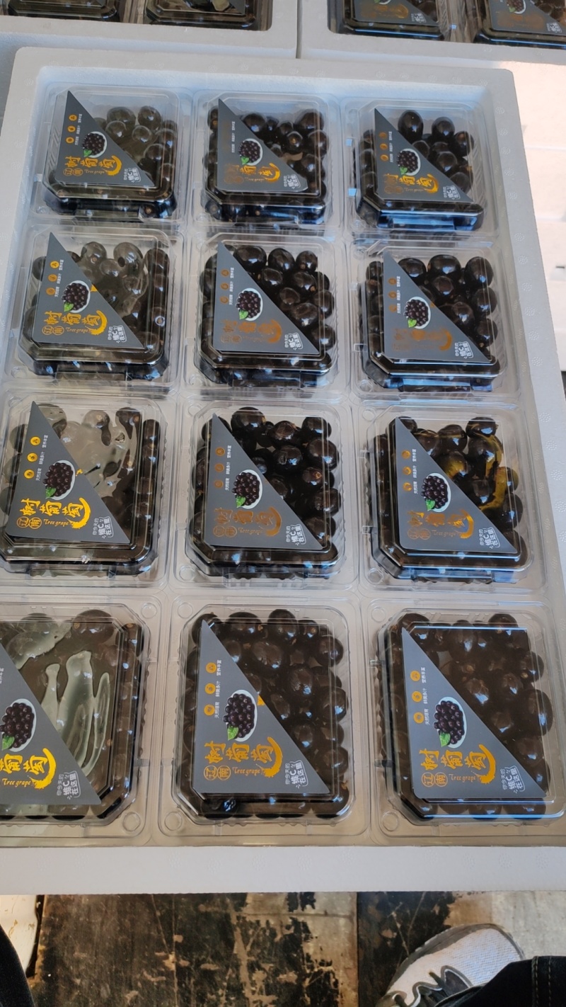 精品蛟龙果嘉宝果果肉清甜保质保量对接电商市场等