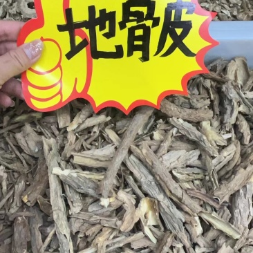地骨皮