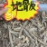 地骨皮