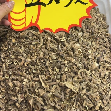 五加皮