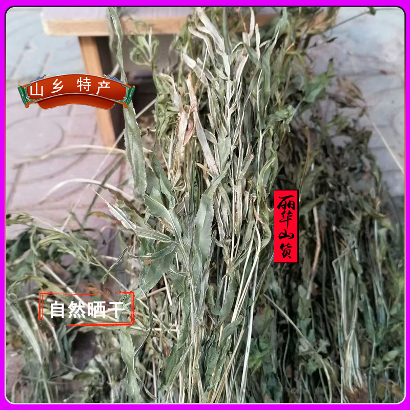 凤尾草凤凰草野生新货新鲜干品量大质优一手货源