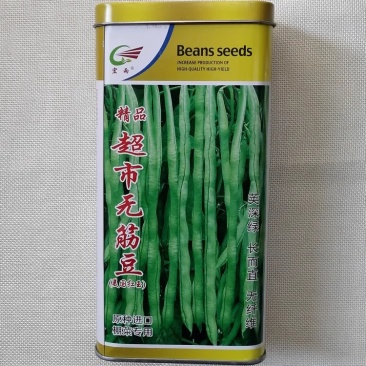 超市无筋豆种子，美国红玉豆角，鲜荚深绿，长而直，抗病