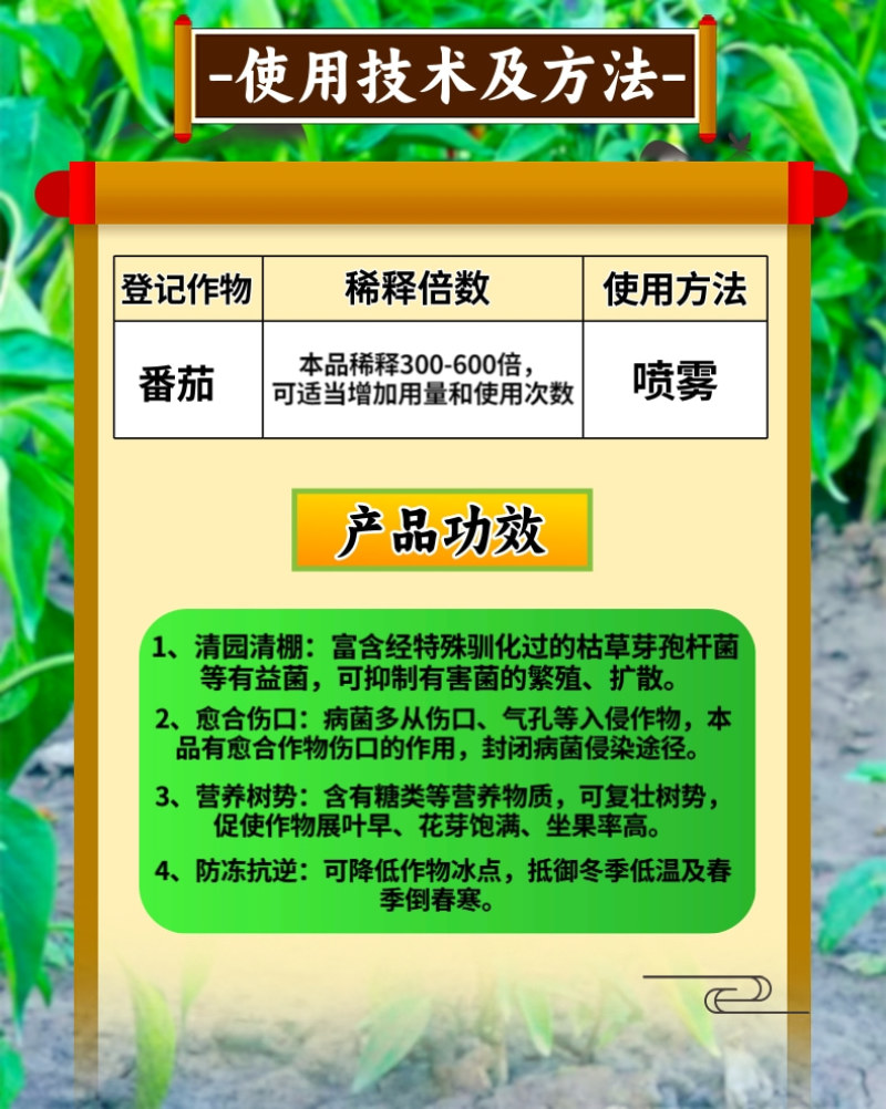 清满园摘果后春季清园修复伤口抗病抗逆营养复壮