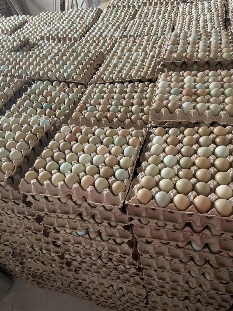 野鸡蛋养殖场每天可供应5万枚.寻求长期合作采购商