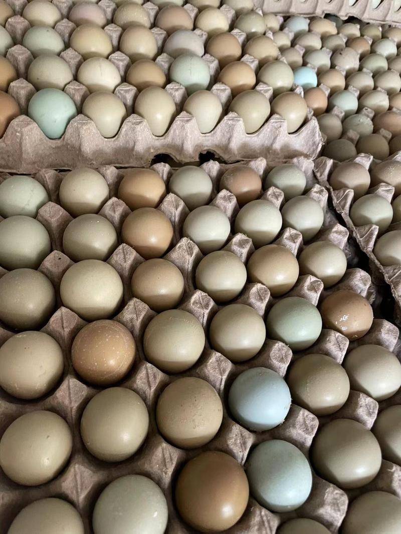 野鸡蛋常年供应，当日发货，量大从优可视频看货，欢迎采购