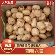 丽薯六号土豆大量供应，云南红河产地直发，现挖现发可咨询