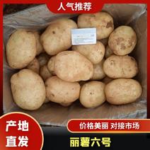 【精品】云南丽薯六号土豆大量上市，云南产地直发，量大从优
