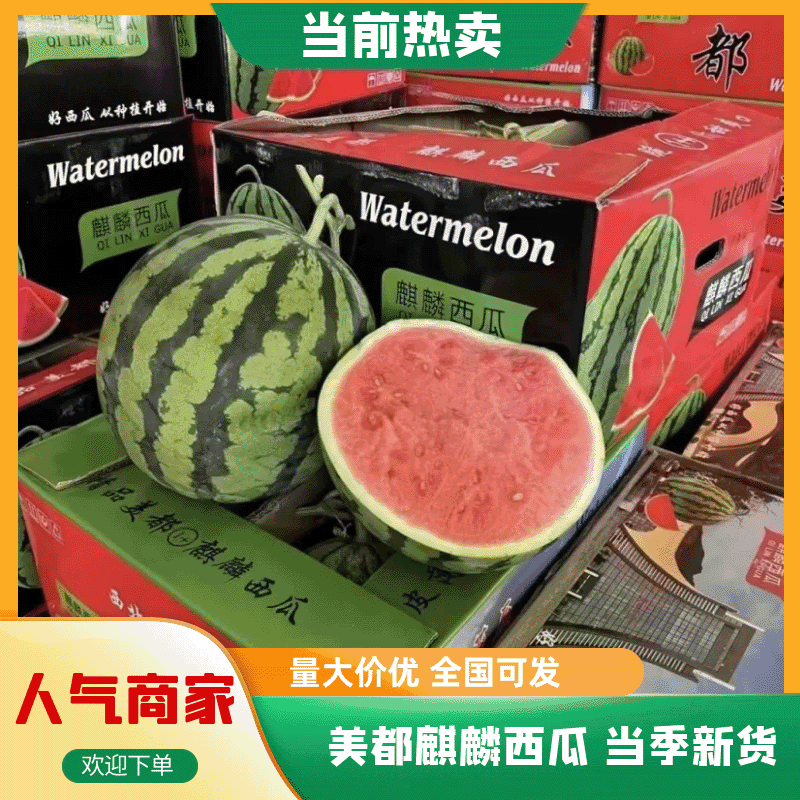 云南麒麟美都西瓜-产地直发-皮薄肉多-可视频看货