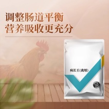 疯长王肉鸡专用鸭鹅催肥增肥饲料添加剂开胃促生长