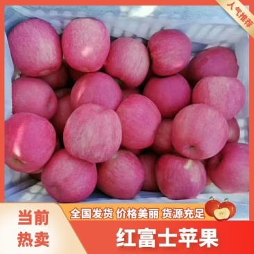 辽宁绥中纸袋脆甜红富士苹果75mm以上辽宁红富