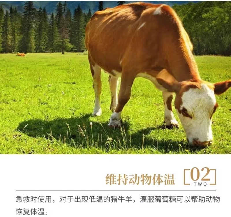 葡萄糖粉猪牛羊鸡鸭鹅饲料水产养殖补充能量抗应激10斤