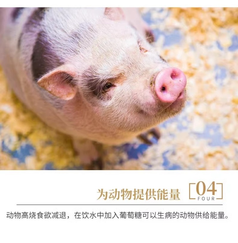 葡萄糖粉猪牛羊鸡鸭鹅饲料水产养殖补充能量抗应激10斤