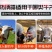 大号牛用防顶器畜牧牛角保护套箍牛角套牛犄角防撞保护套