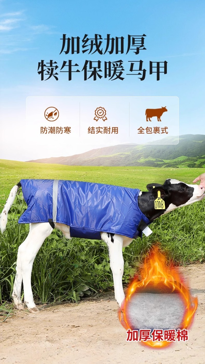 犊牛马甲小牛加厚防寒马甲牛犊子保暖防水犊牛养牛场保温衣服