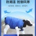 犊牛马甲小牛加厚防寒马甲牛犊子保暖防水犊牛养牛场保温衣服