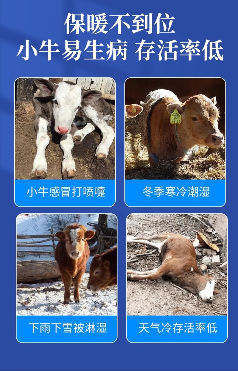 犊牛马甲小牛加厚防寒马甲牛犊子保暖防水犊牛养牛场保温衣服