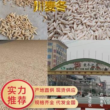 【川麦冬】四川三台县麦冬一手货源品质保障欢迎咨询
