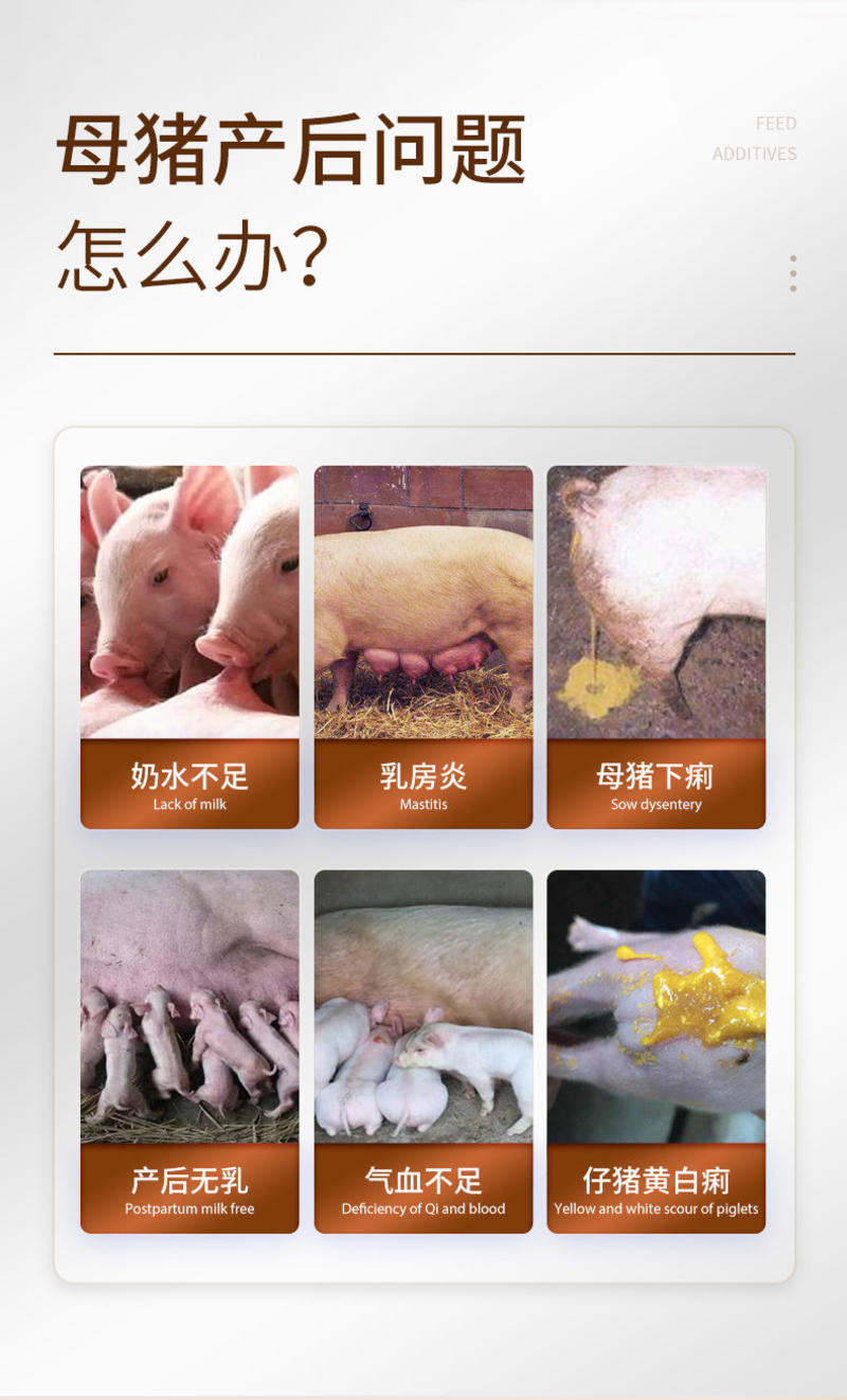 母猪催乳奶粉母猪产后催奶仔猪用动物奶粉代乳粉