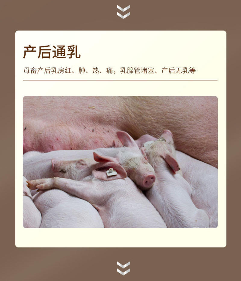 母猪催乳奶粉母猪产后催奶仔猪用动物奶粉代乳粉